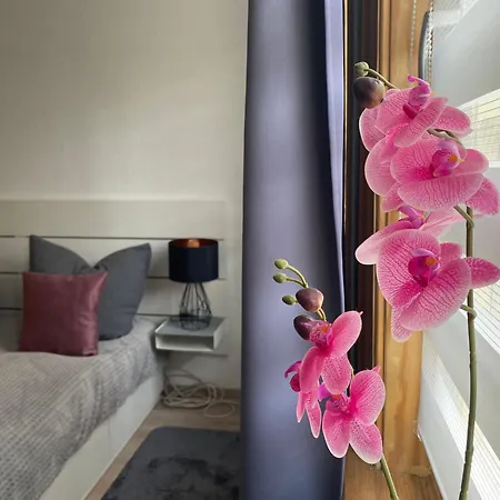 Appartement Clara